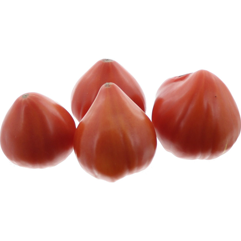 TOMATE REINE DE COEUR SAVEOL 3,5KG